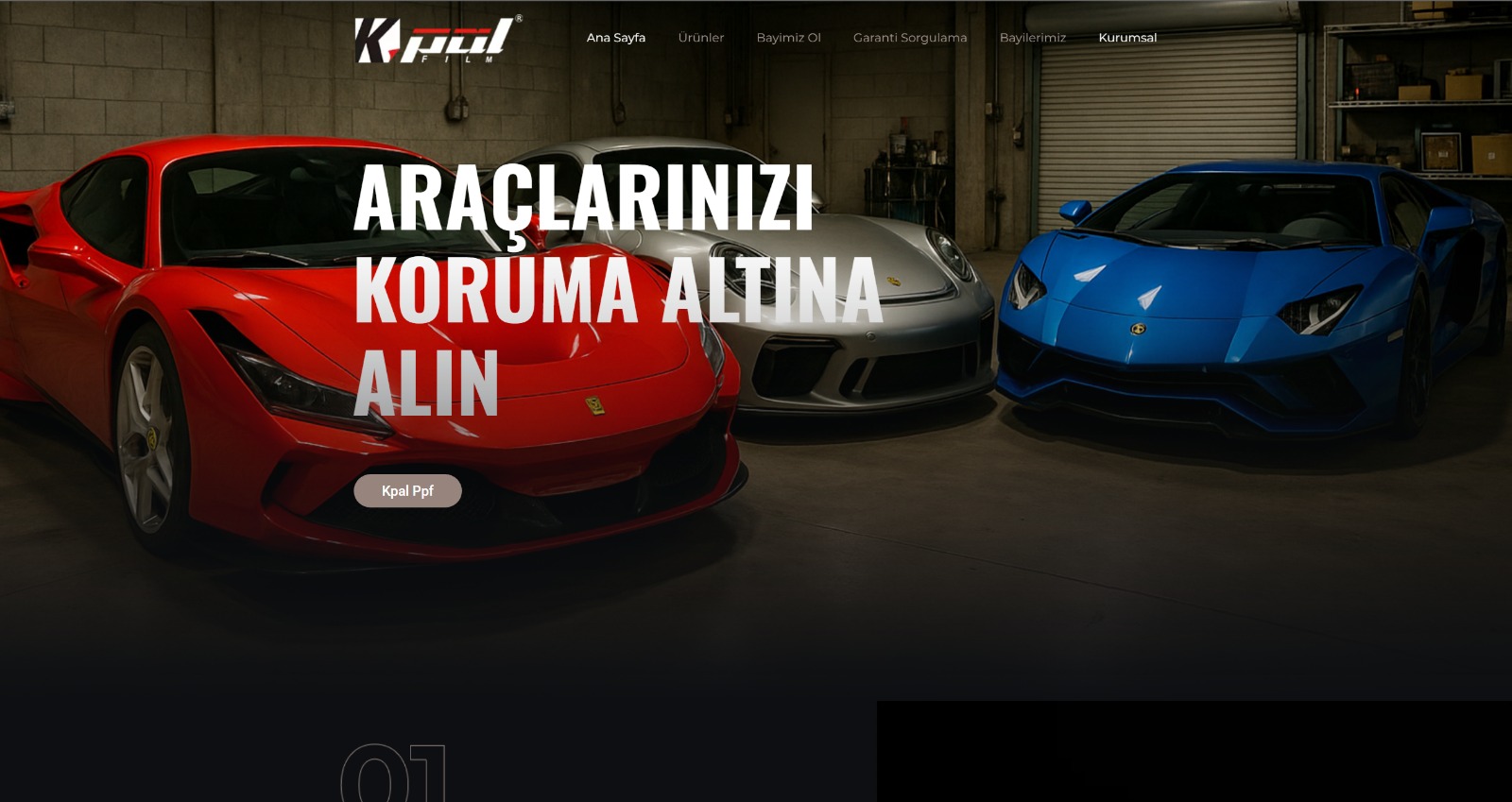 Proje 3
